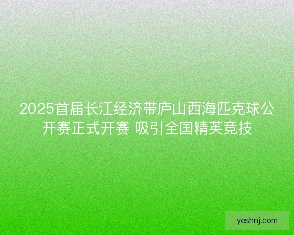 2025首届长江经济带庐山西海匹克球公开赛正式开赛 吸引全国精英竞技 2025首届长江经济带庐山西海匹克球公开赛正式开赛 吸引全国精英竞技