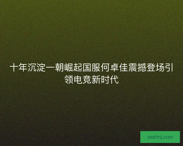 十年沉淀一朝崛起国服何卓佳震撼登场引领电竞新时代 十年沉淀一朝崛起国服何卓佳震撼登场引领电竞新时代