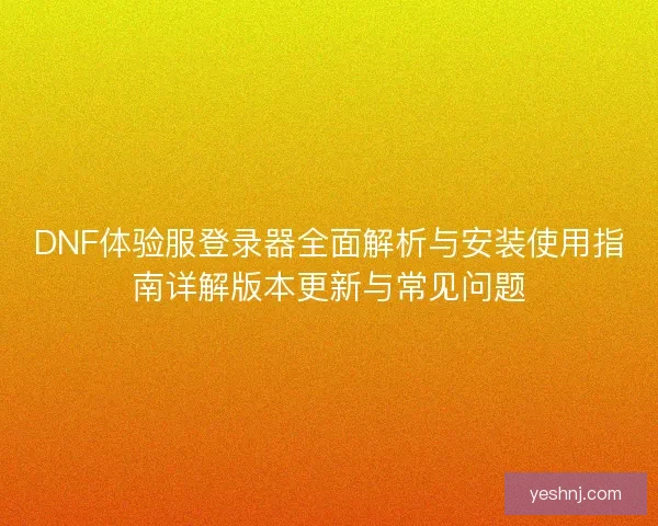 DNF体验服登录器全面解析与安装使用指南详解版本更新与常见问题