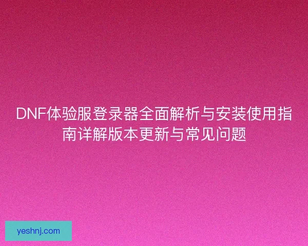 DNF体验服登录器全面解析与安装使用指南详解版本更新与常见问题