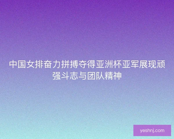 中国女排奋力拼搏夺得亚洲杯亚军展现顽强斗志与团队精神
