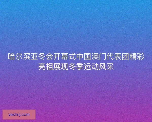 哈尔滨亚冬会开幕式中国澳门代表团精彩亮相展现冬季运动风采 哈尔滨亚冬会开幕式中国澳门代表团精彩亮相展现冬季运动风采