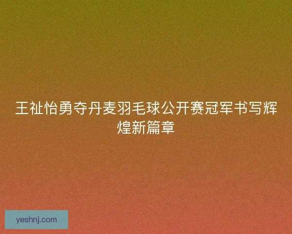 王祉怡勇夺丹麦羽毛球公开赛冠军书写辉煌新篇章